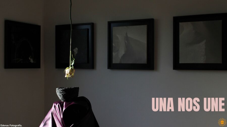 Boletín 13 Unión Nacional de Artistas UNA